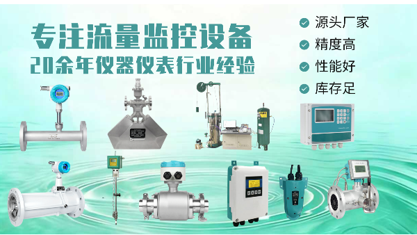 国产品牌流量计选购指南：核心技巧分析